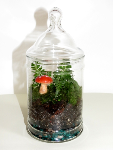 Candy jar terrarium with mushroom