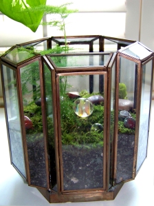 Lantern Terrarium