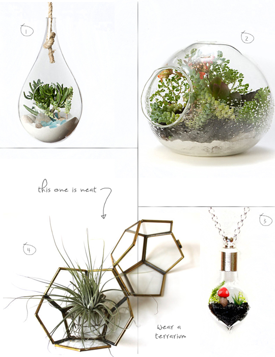 http://www.madalynne.com/what-i-heart-now-terrariums